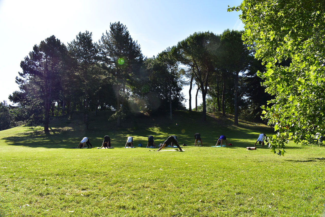 Saluto al sole adho mukha svanasana