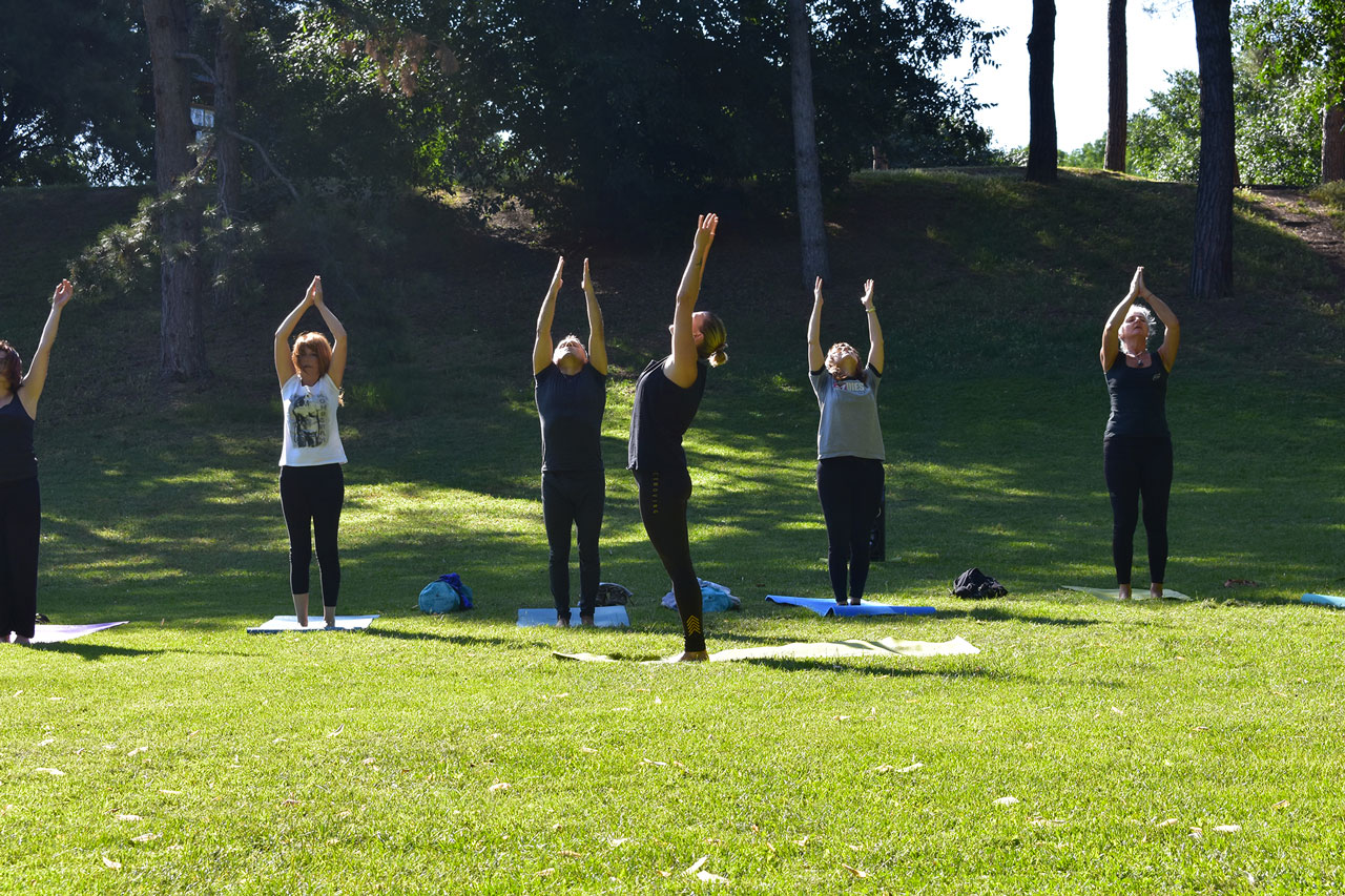 Saluto al sole hasta uttanasana